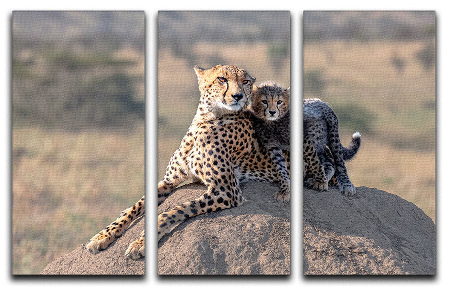 Cheetah and cup 3 Split Panel Canvas Print - 1x - 1