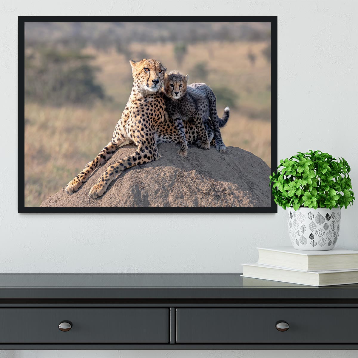 Cheetah and cup Framed Print - 1x - 2