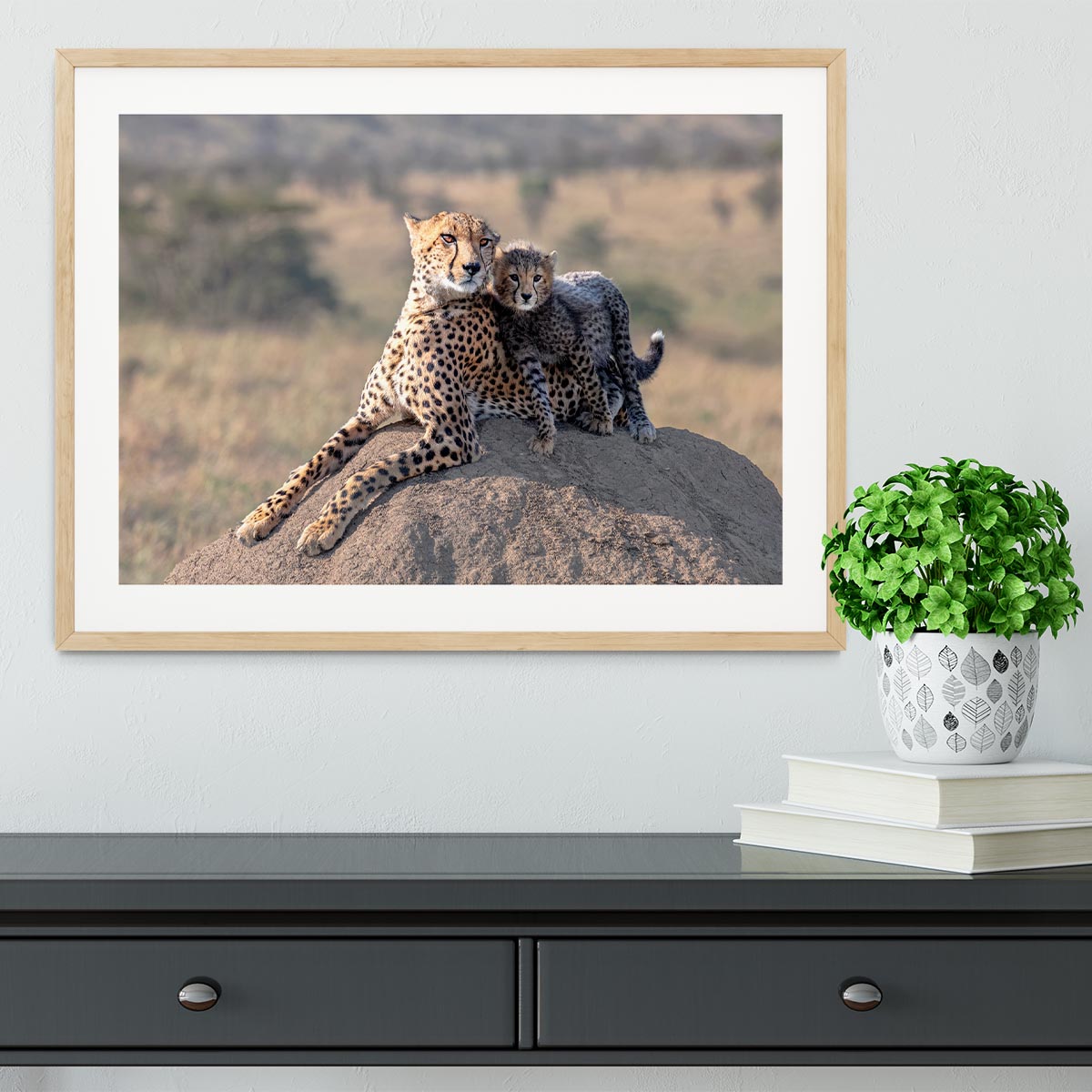 Cheetah and cup Framed Print - 1x - 3