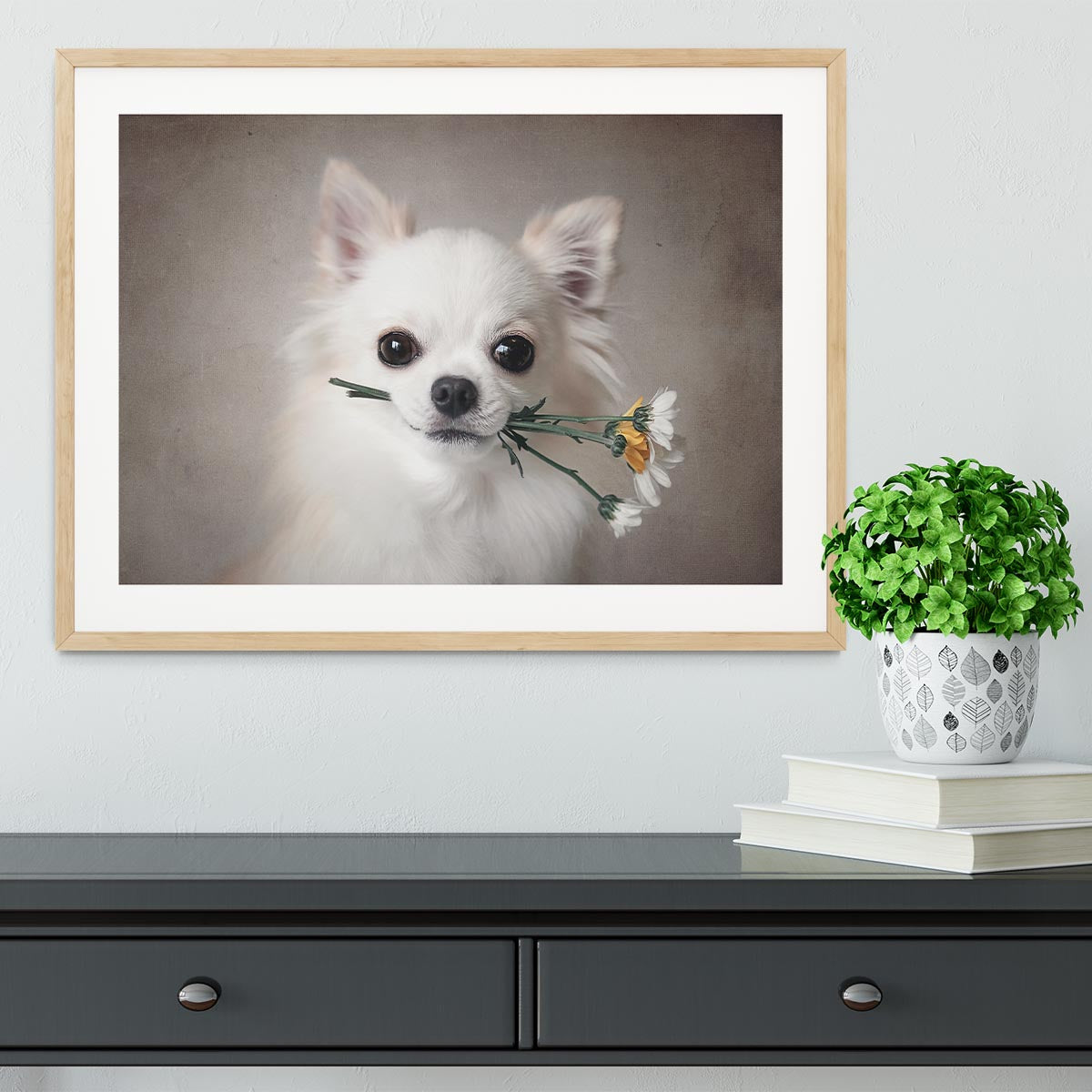 Chihuahua with flowers Framed Print - 1x - 3