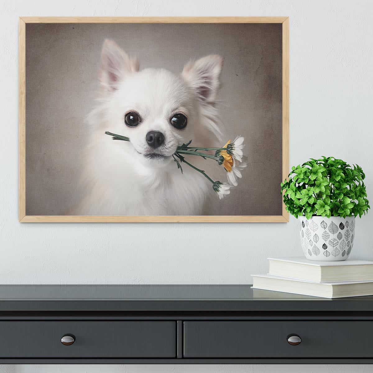 Chihuahua with flowers Framed Print - 1x - 4