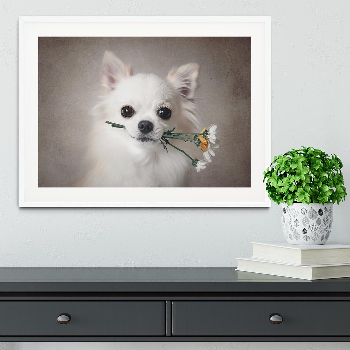 Chihuahua with flowers Framed Print - 1x - 5