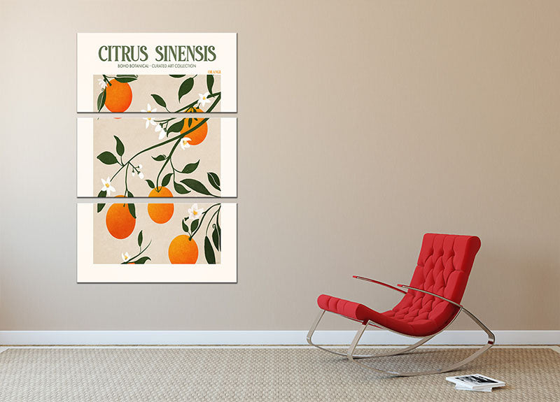 Citrus Sinensis 3 Split Panel Canvas Print - Canvas Art Rocks - 2