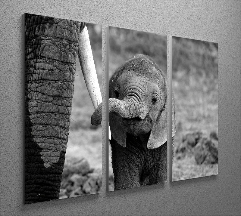 Close 3 Split Panel Canvas Print - 1x - 2