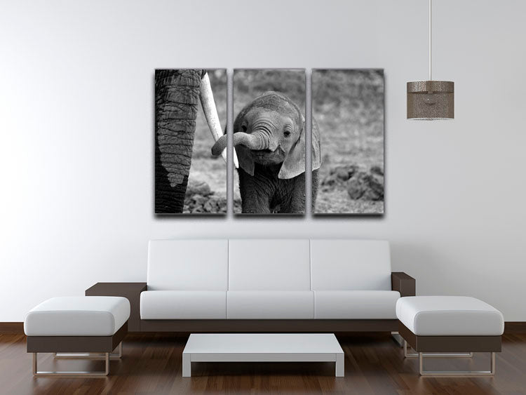 Close 3 Split Panel Canvas Print - 1x - 3