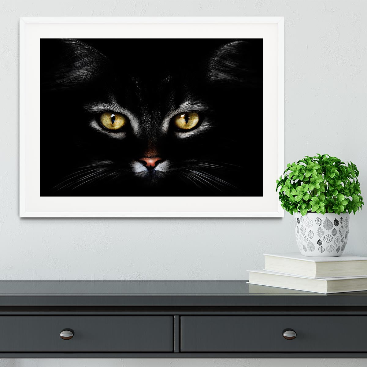 Close Up Cat Framed Print - 1x - 5