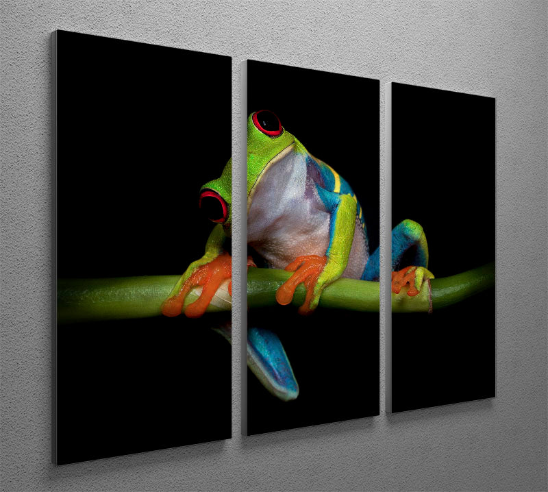 Curiosity 3 Split Panel Canvas Print - 1x - 2