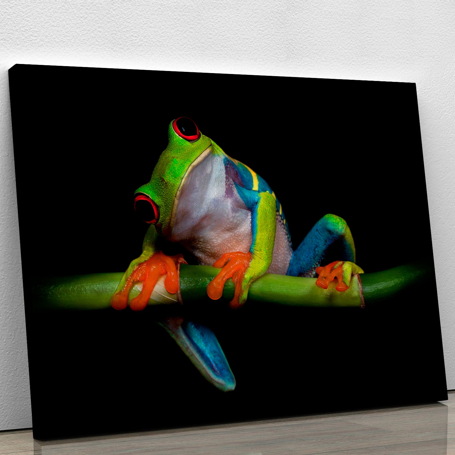 Curiosity Canvas Print or Poster - 1x - 1