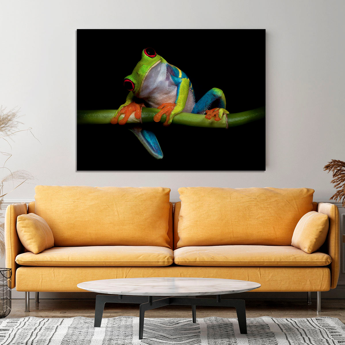 Curiosity Canvas Print or Poster - 1x - 4