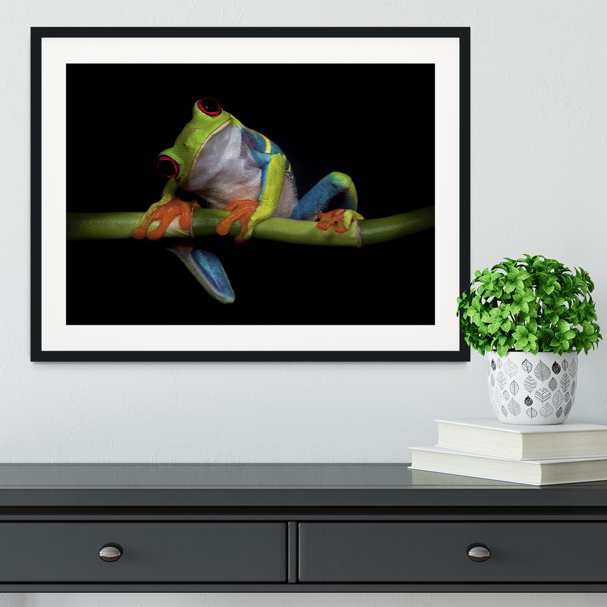 Curiosity Framed Print - 1x - 1