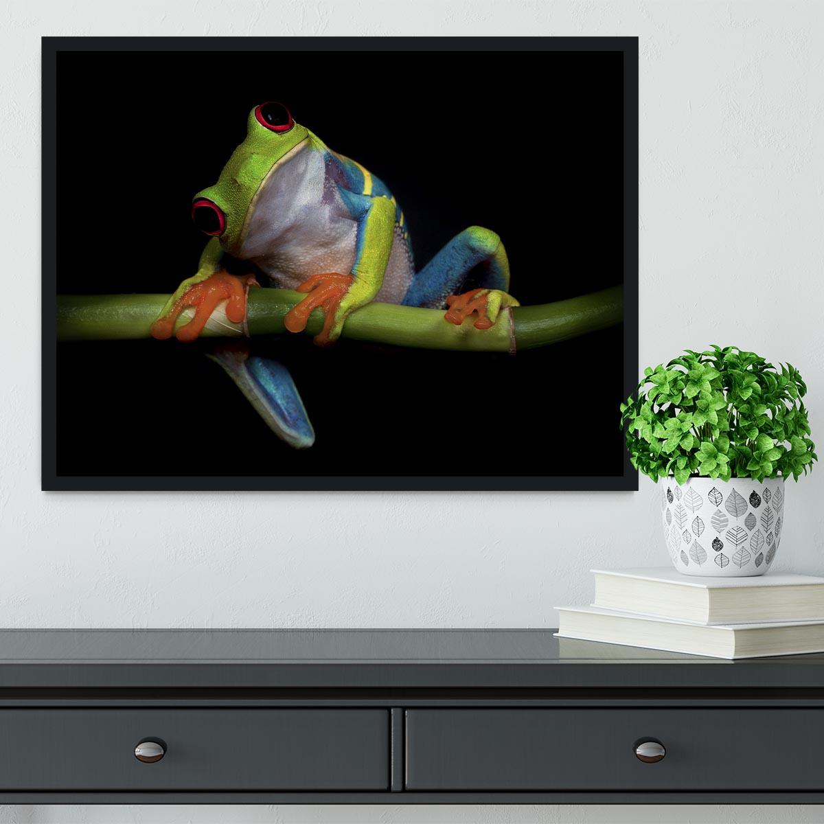 Curiosity Framed Print - 1x - 2