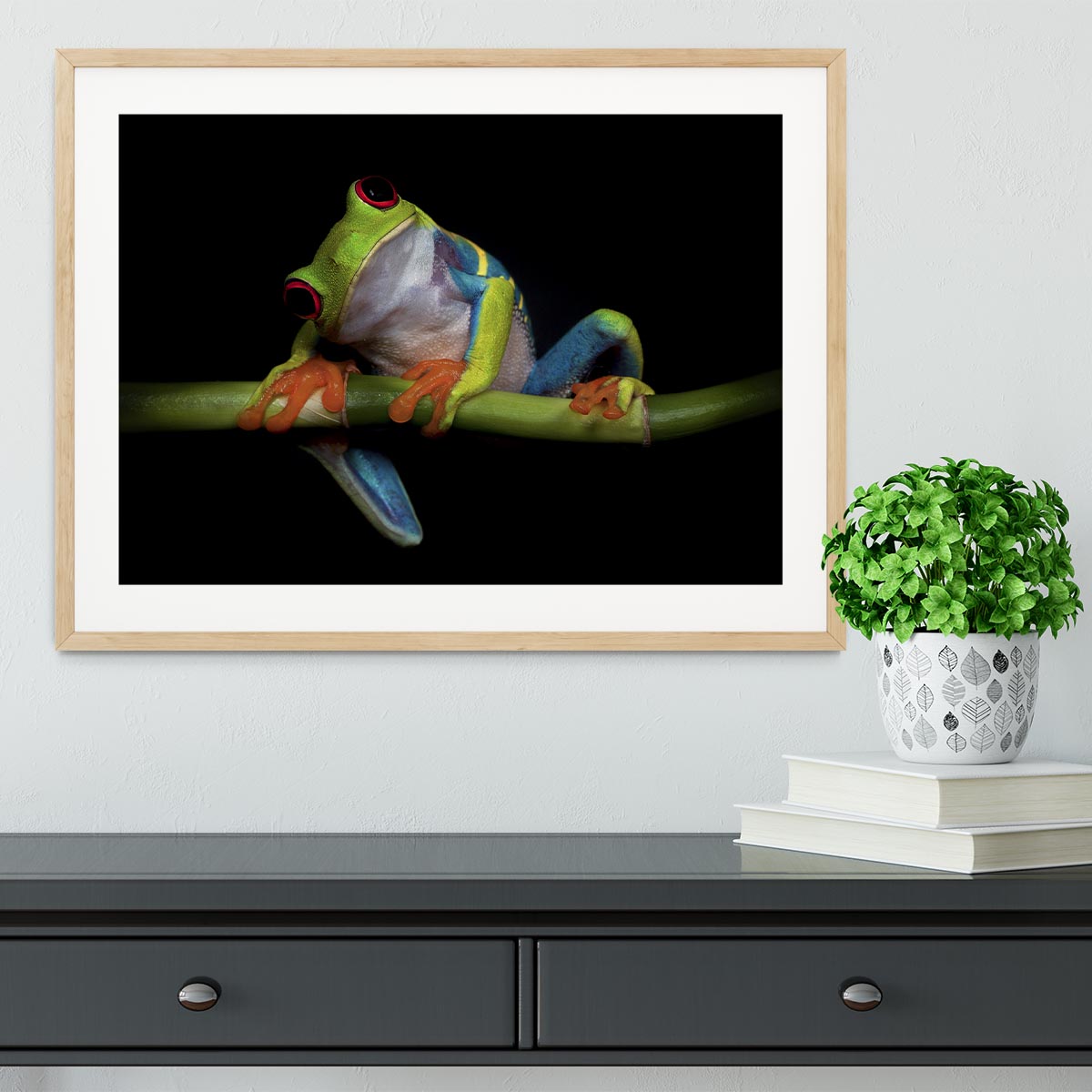 Curiosity Framed Print - 1x - 3