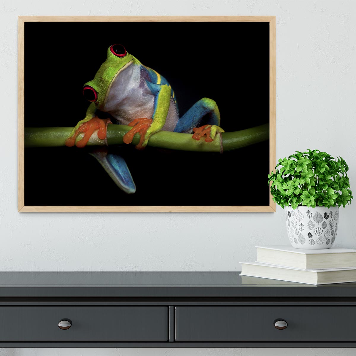 Curiosity Framed Print - 1x - 4