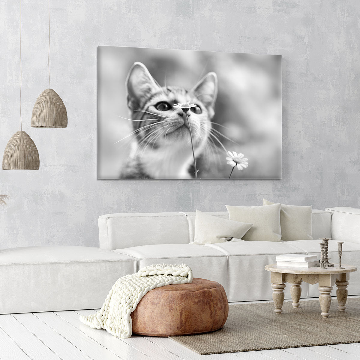 Curious Canvas Print or Poster - 1x - 6