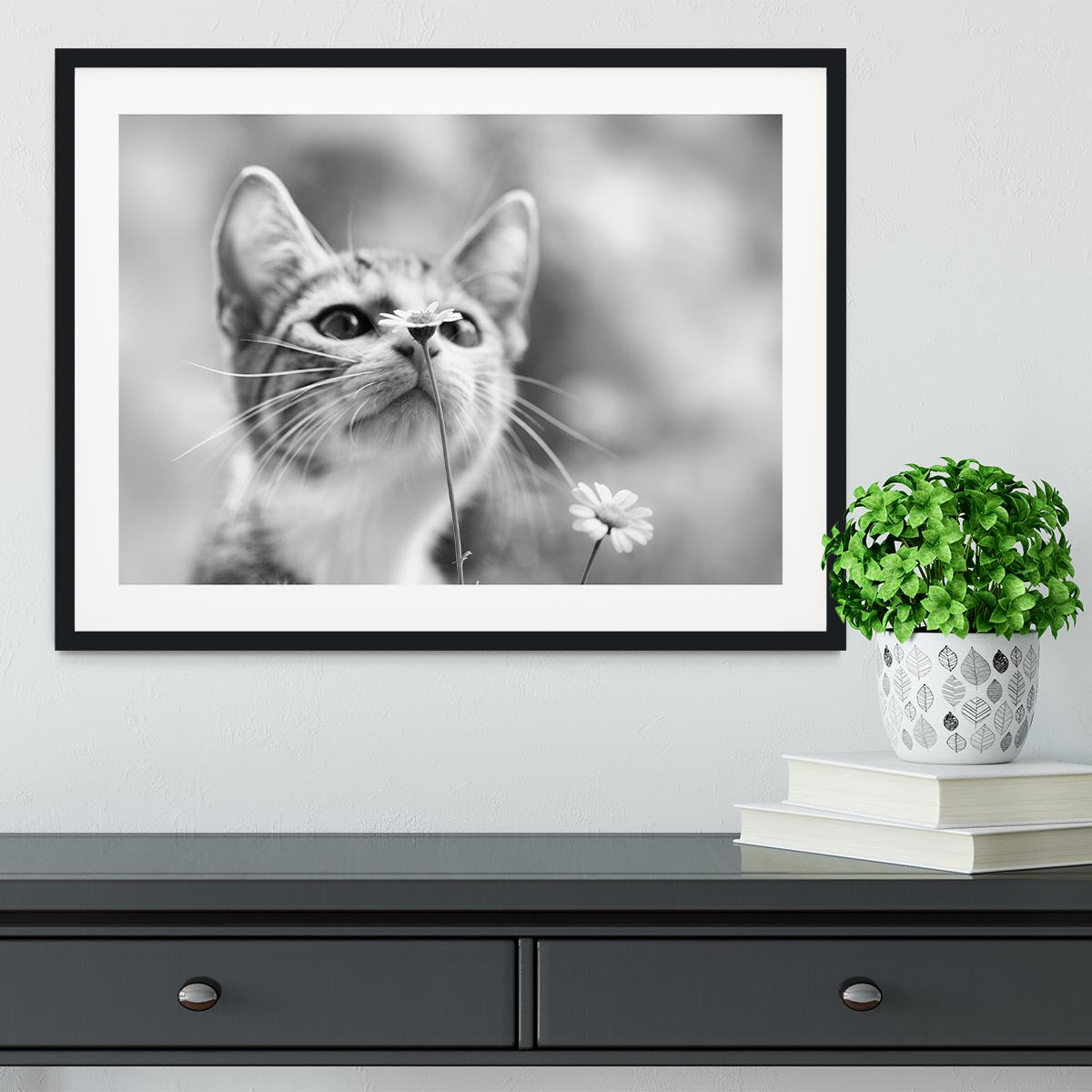 Curious Framed Print - 1x - 1