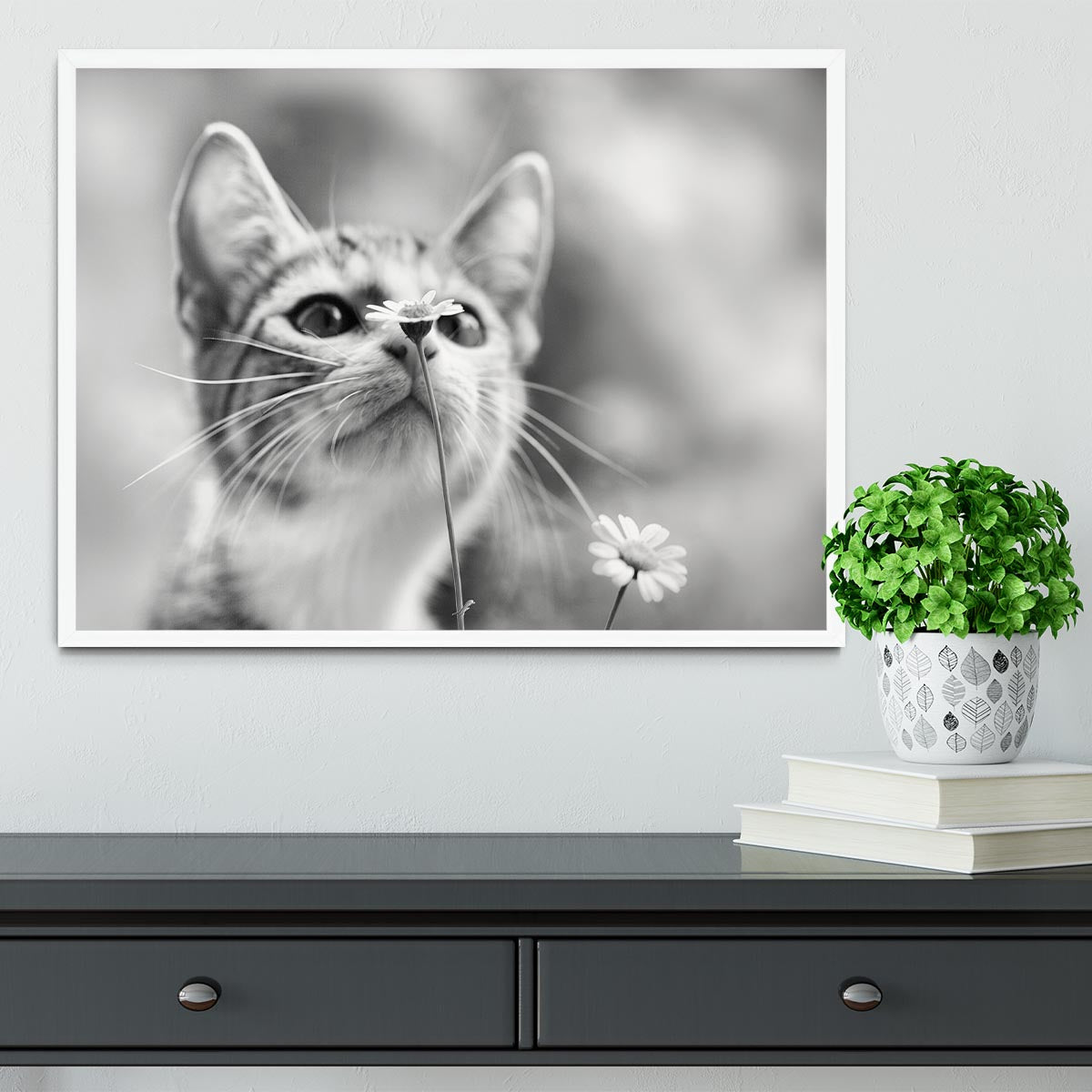 Curious Framed Print - 1x -6