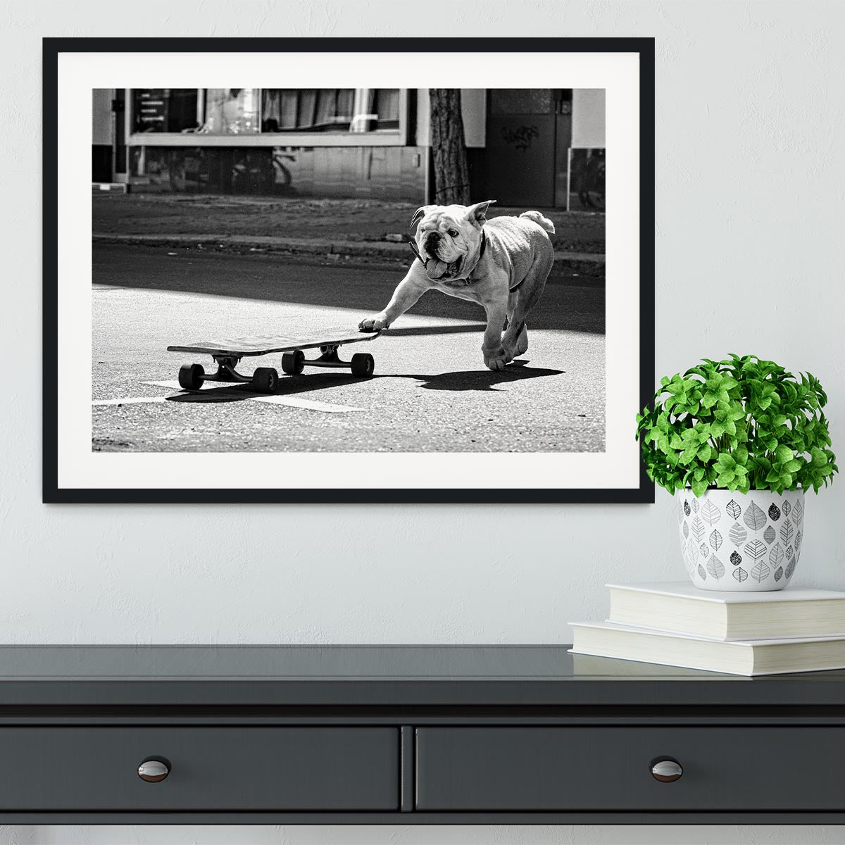 Dogs Just To Have Fun Framed Print - 1x - 1