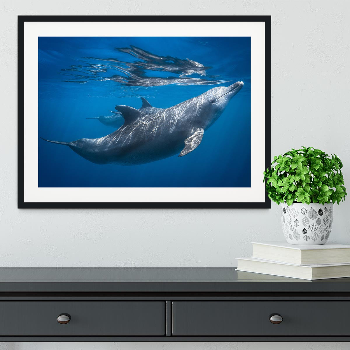 Dolphin at the surface Framed Print - 1x - 1