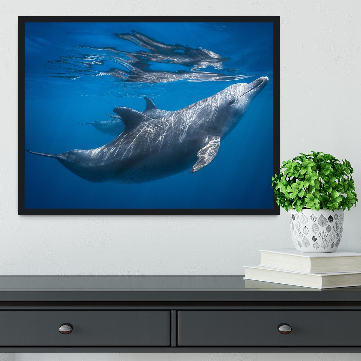 Dolphin at the surface Framed Print - 1x - 2