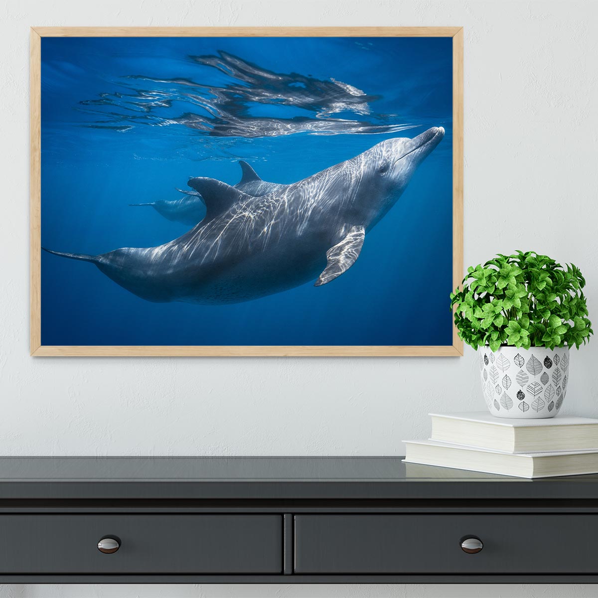 Dolphin at the surface Framed Print - 1x - 4