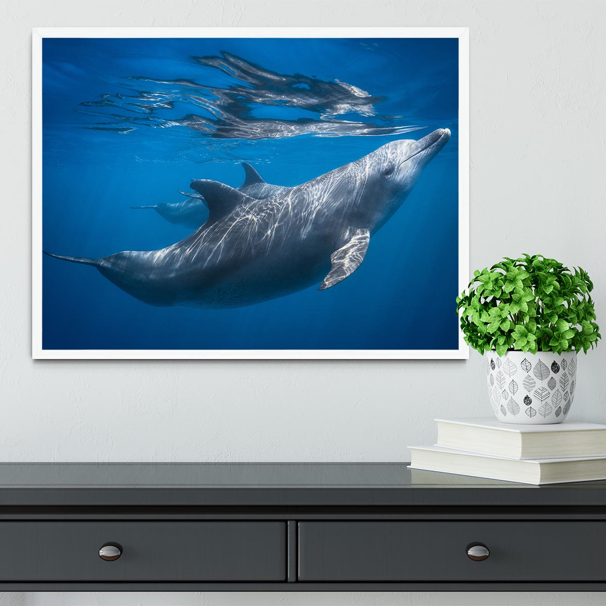 Dolphin at the surface Framed Print - 1x -6