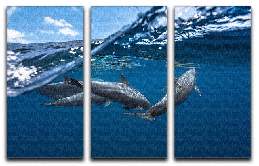 Dolphins Jumping 3 Split Panel Canvas Print - 1x - 1