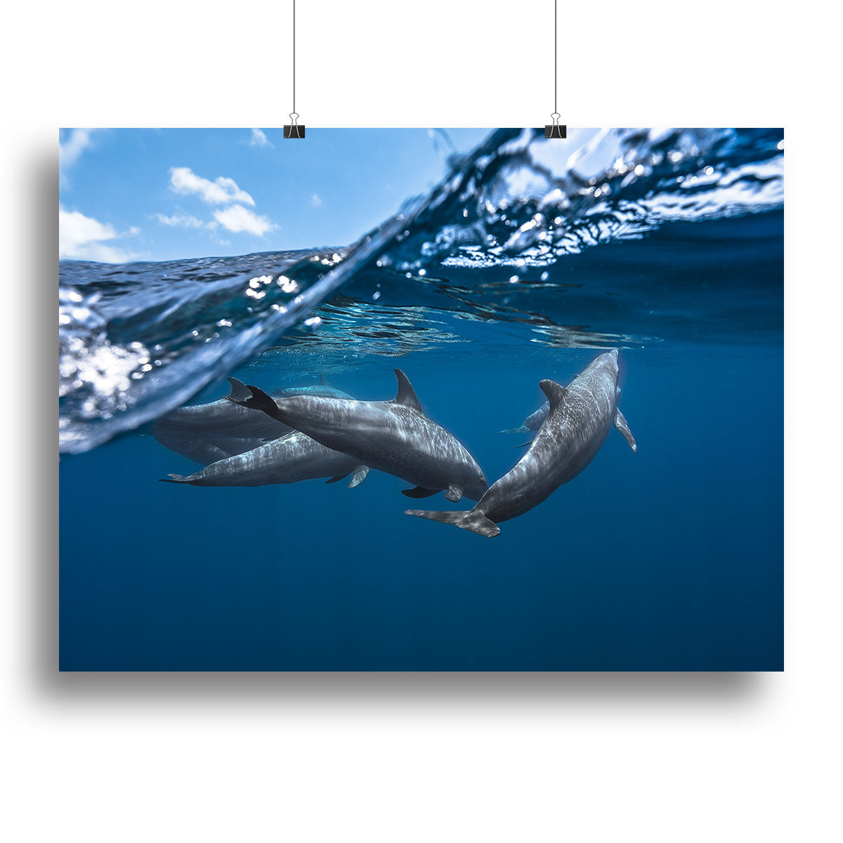 Dolphins Jumping Canvas Print or Poster - 1x - 2