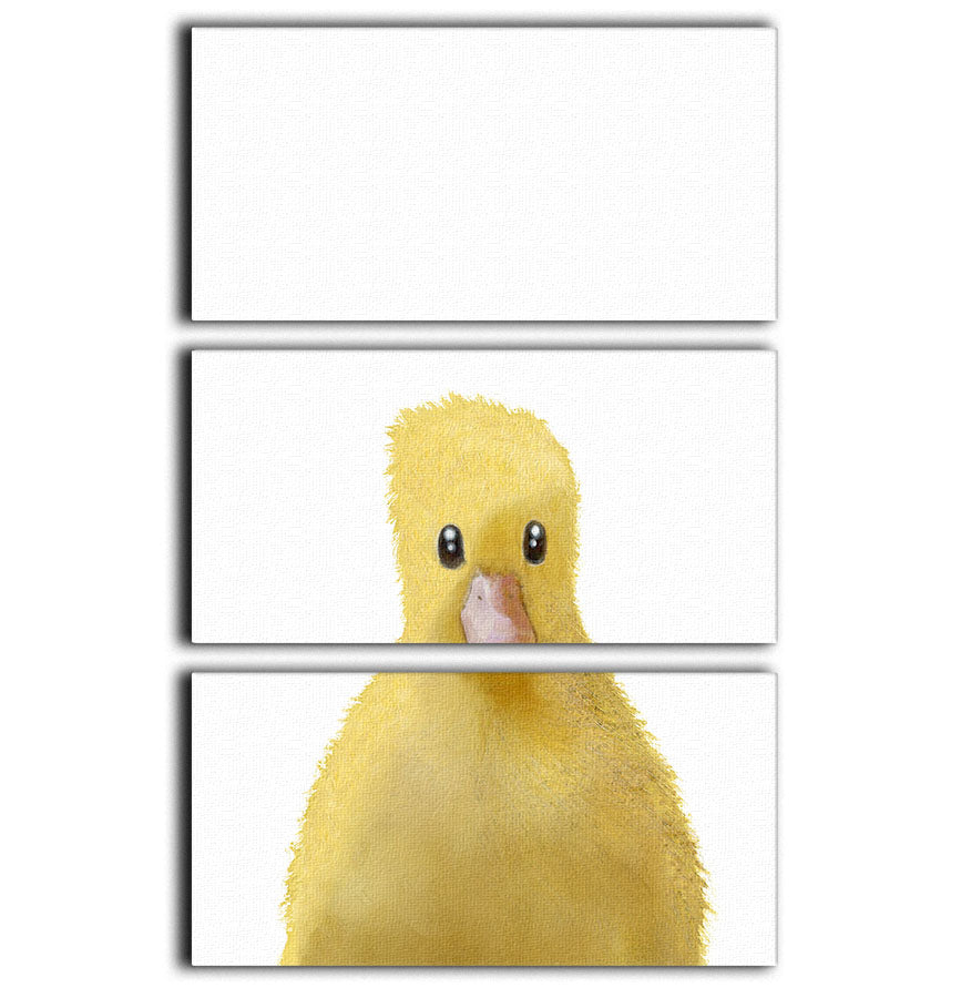 Duck 3 Split Panel Canvas Print - 1x - 1