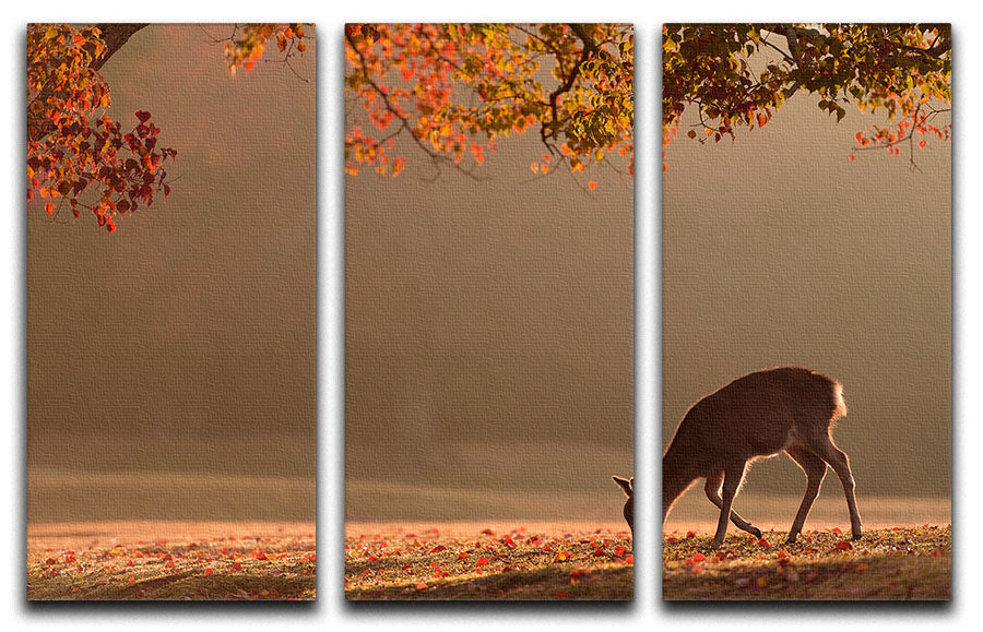 First Autumn 3 Split Panel Canvas Print - 1x - 1