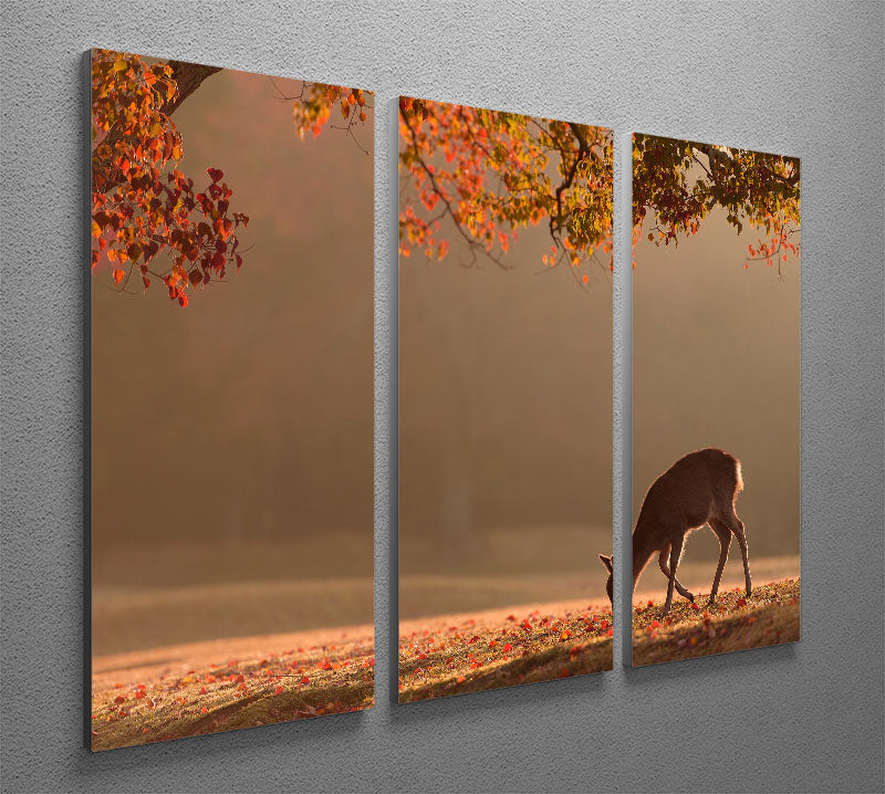 First Autumn 3 Split Panel Canvas Print - 1x - 2