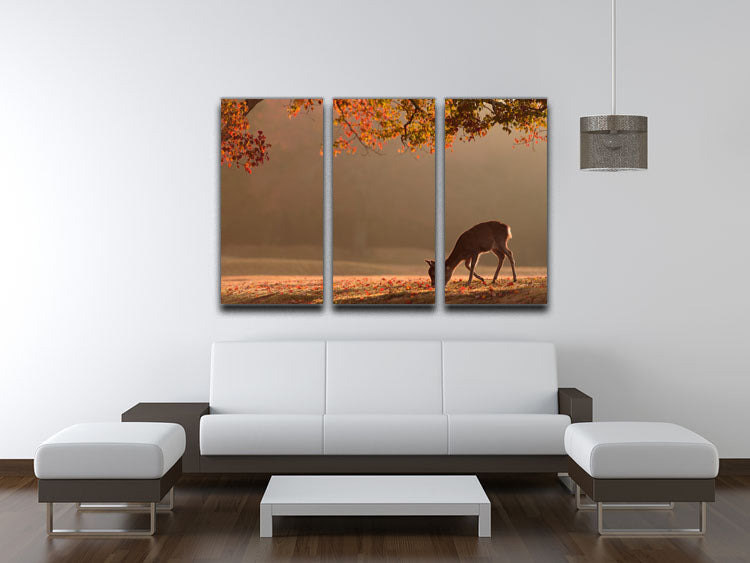 First Autumn 3 Split Panel Canvas Print - 1x - 3