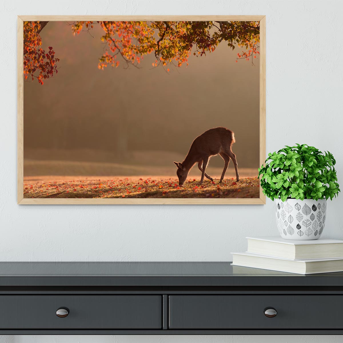 First Autumn Framed Print - 1x - 4