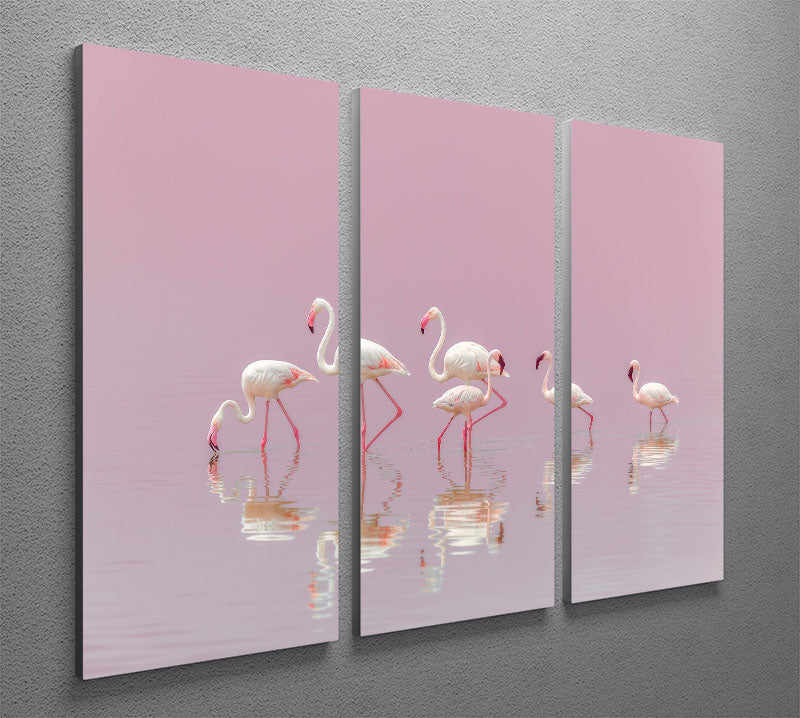 Flamingos 3 Split Panel Canvas Print - 1x - 2