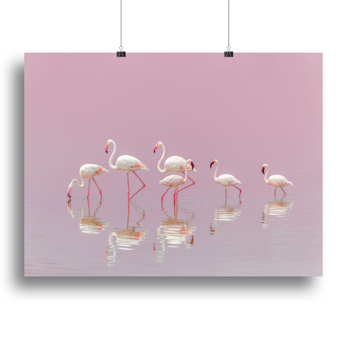 Flamingos Canvas Print or Poster - 1x - 2