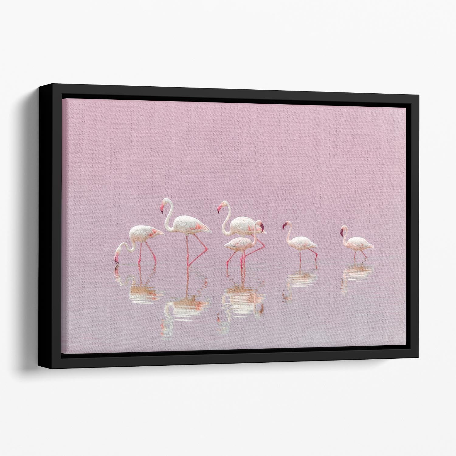 Flamingos Floating Framed Canvas - 1x - 1