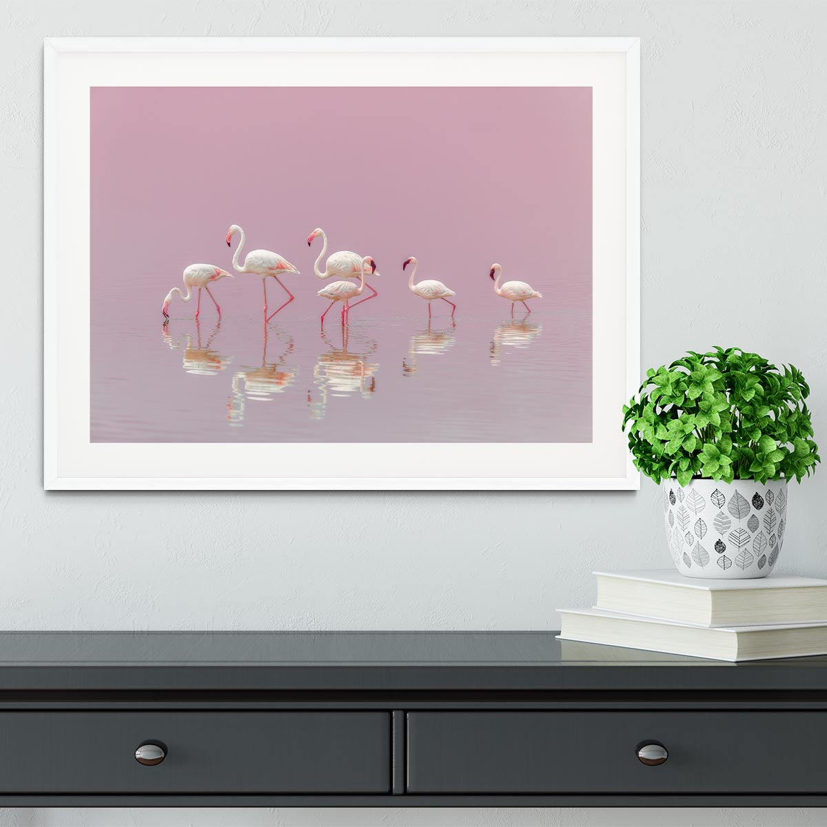 Flamingos Framed Print - 1x - 5