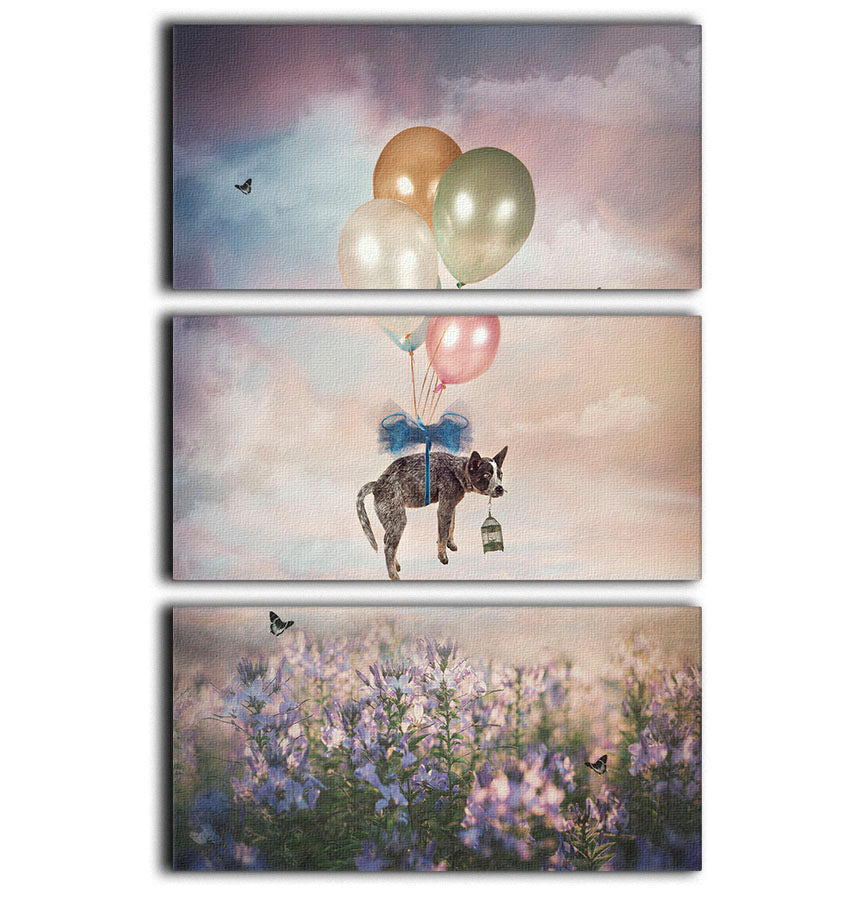 Floating Gift Dog 3 Split Panel Canvas Print - 1x - 1