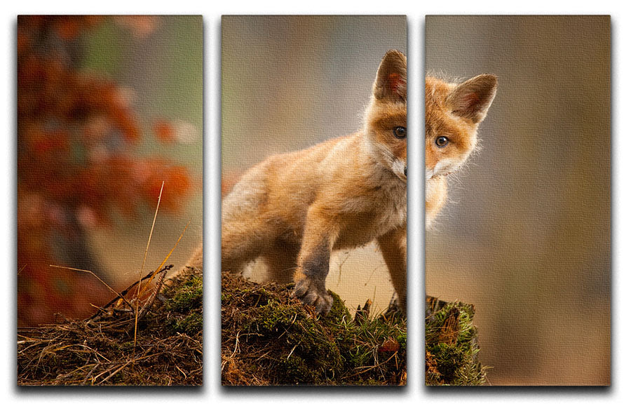 Fox 3 Split Panel Canvas Print - 1x - 1