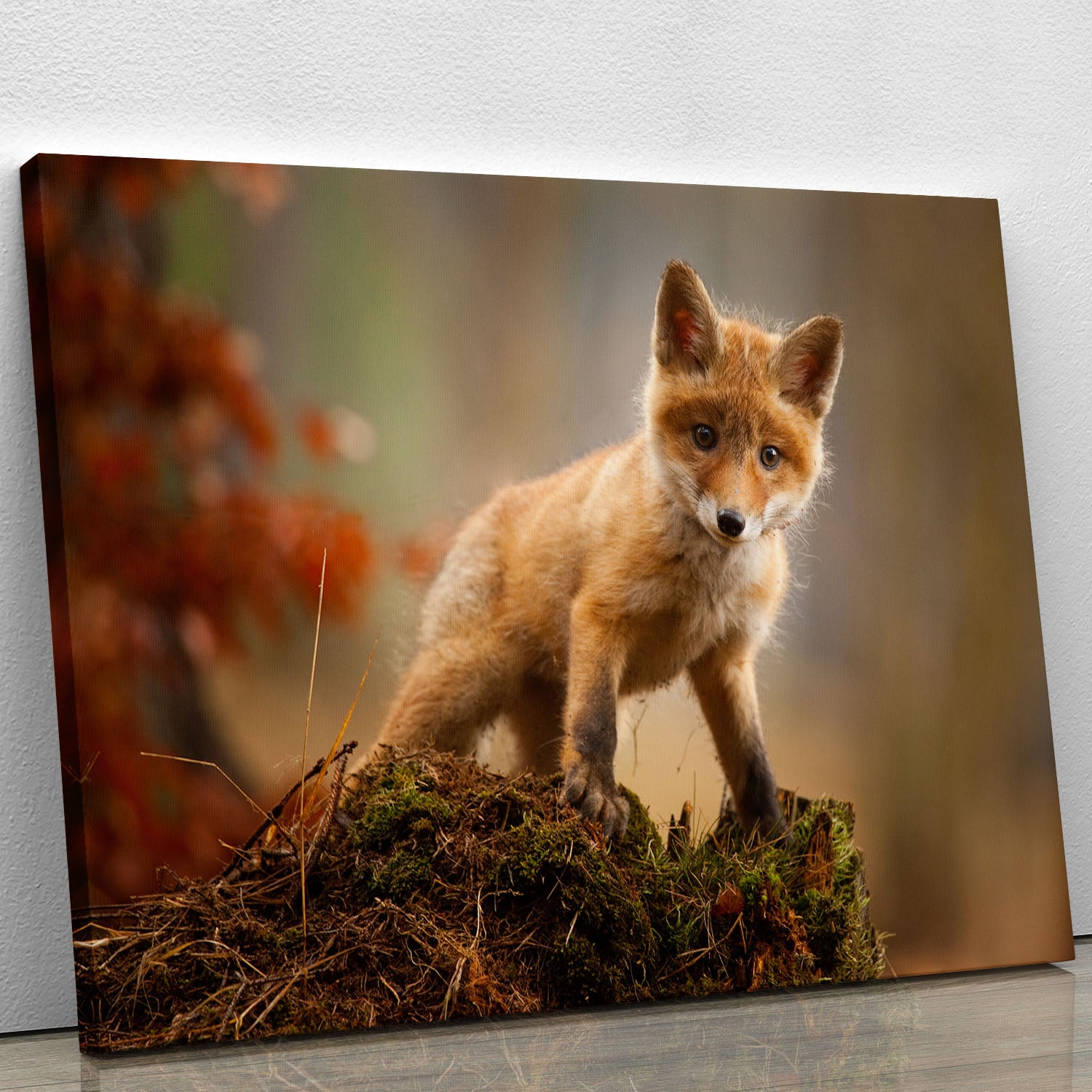 Fox Canvas Print or Poster - 1x - 1