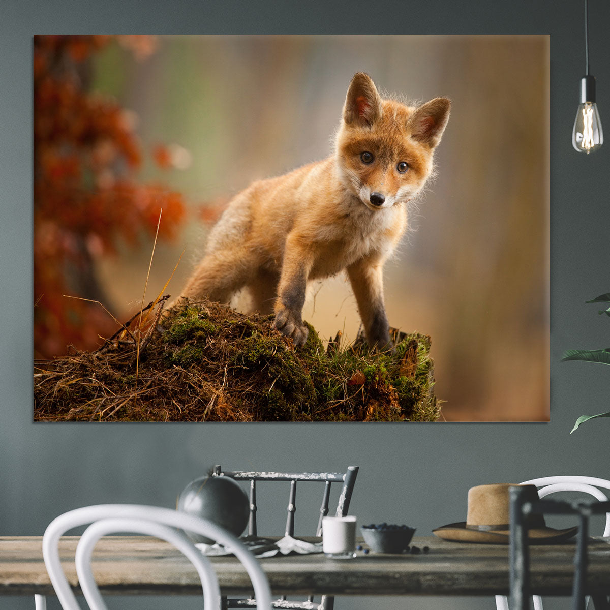 Fox Canvas Print or Poster - 1x - 3