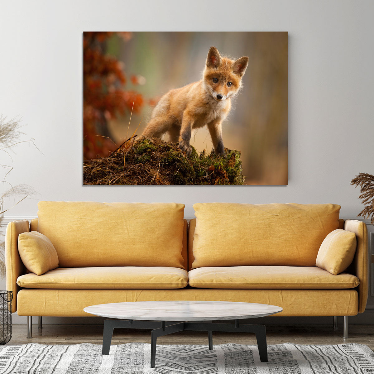 Fox Canvas Print or Poster - 1x - 4