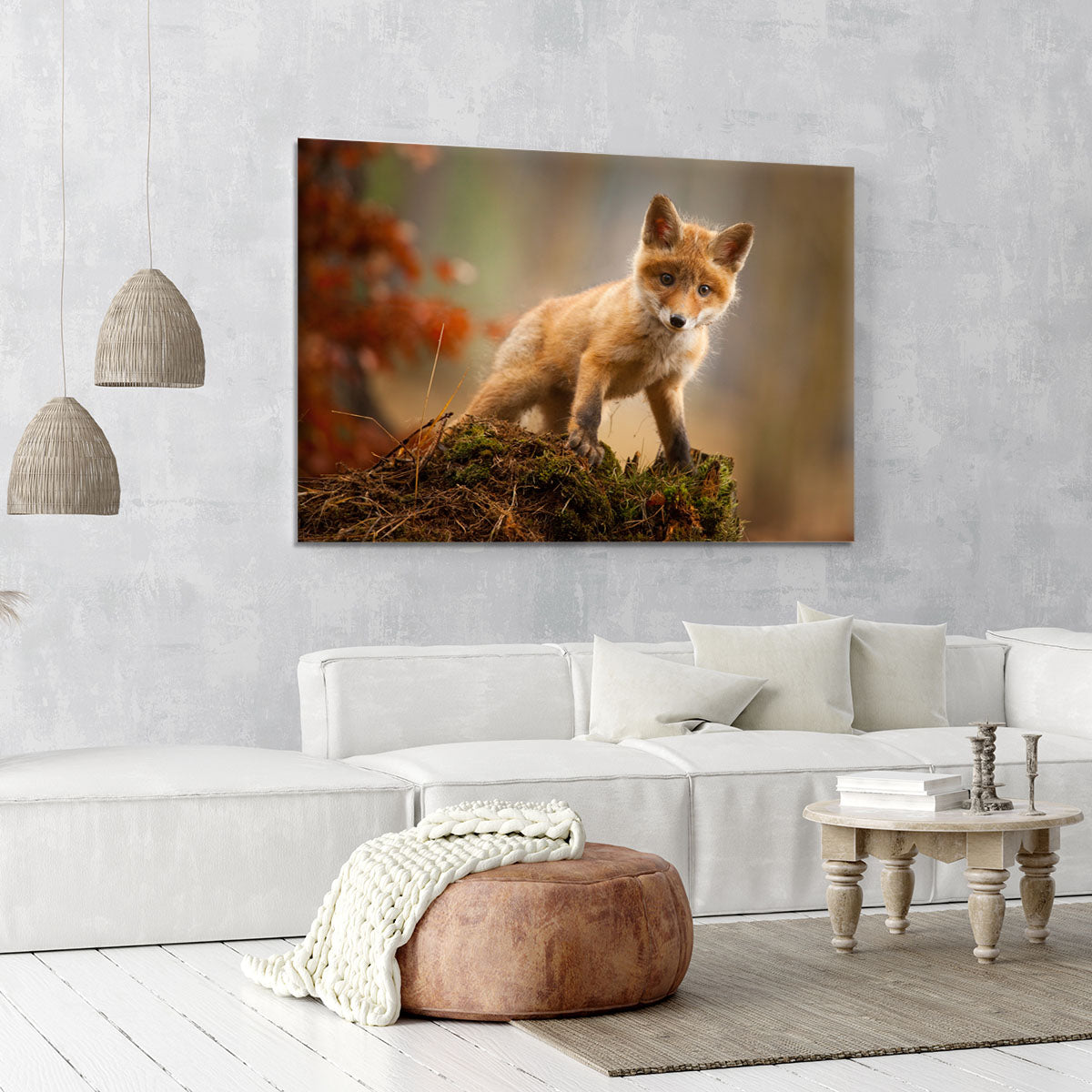 Fox Canvas Print or Poster - 1x - 6