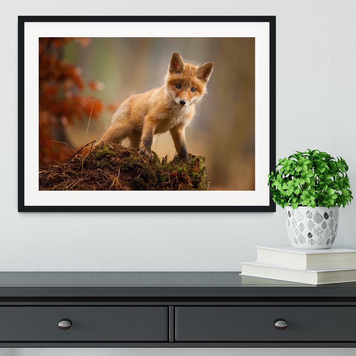 Fox Framed Print - 1x - 1