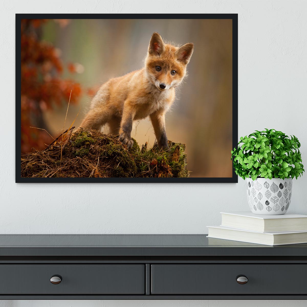 Fox Framed Print - 1x - 2