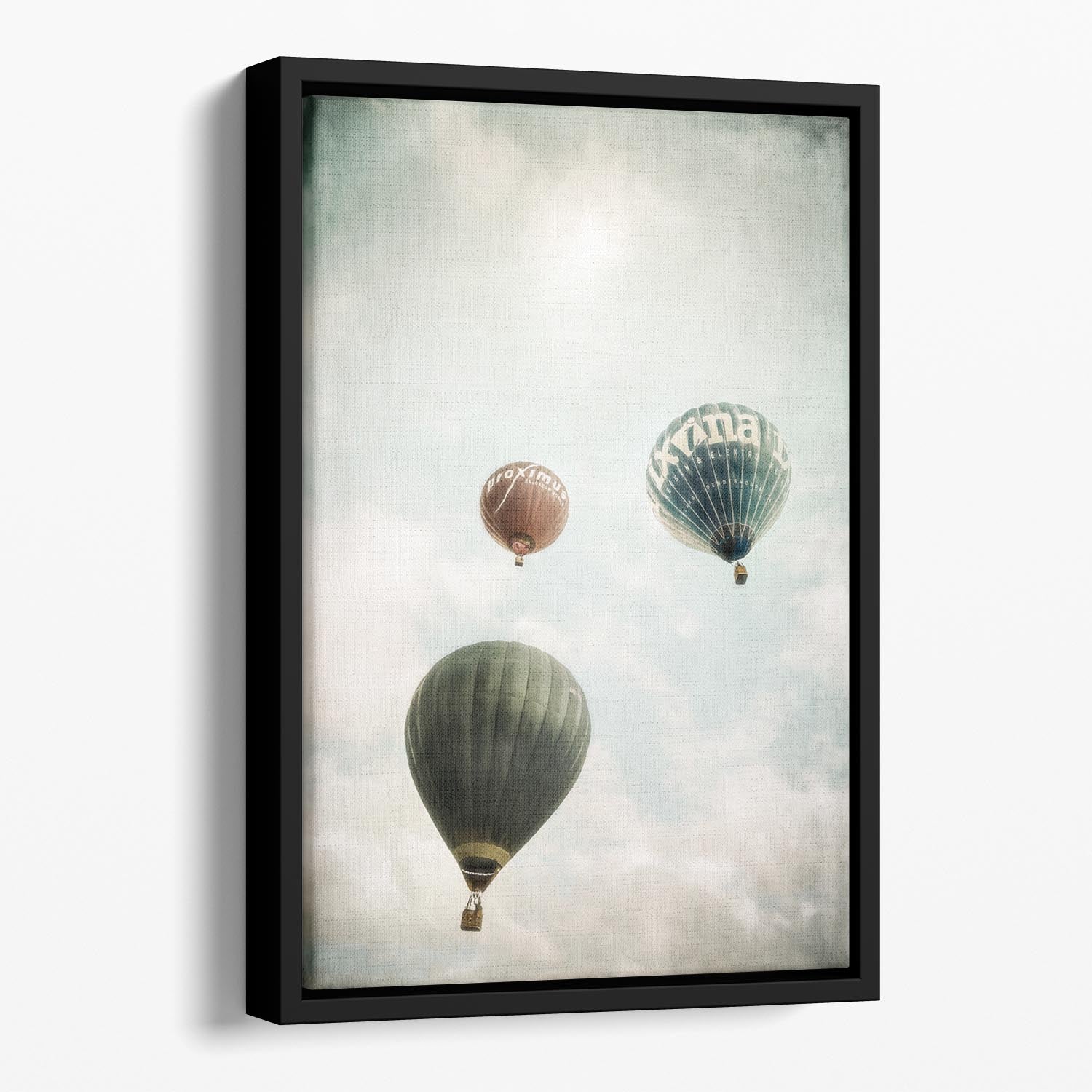 Freedom Floating Framed Canvas - 1x - 1