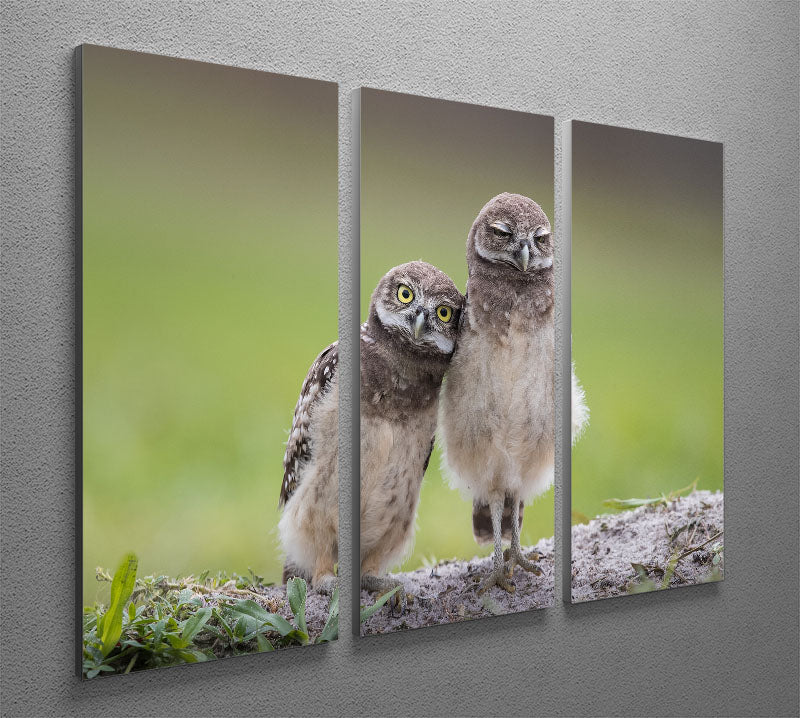 Friends 3 Split Panel Canvas Print - 1x - 2