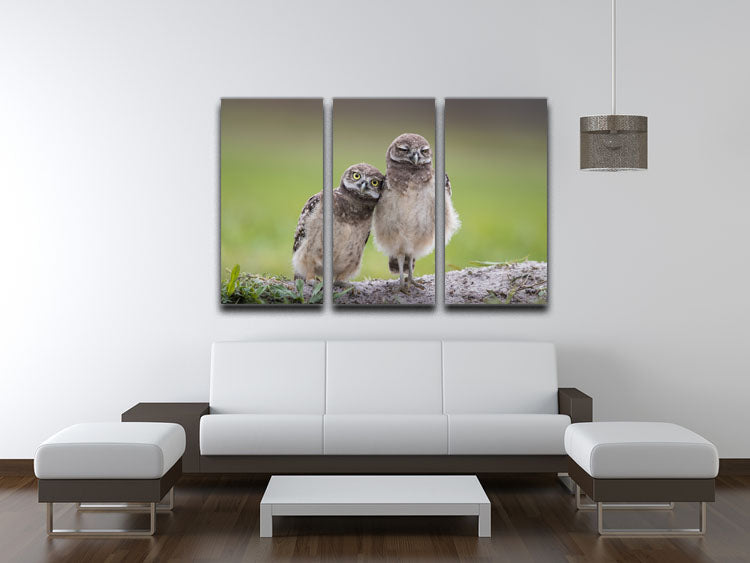 Friends 3 Split Panel Canvas Print - 1x - 3