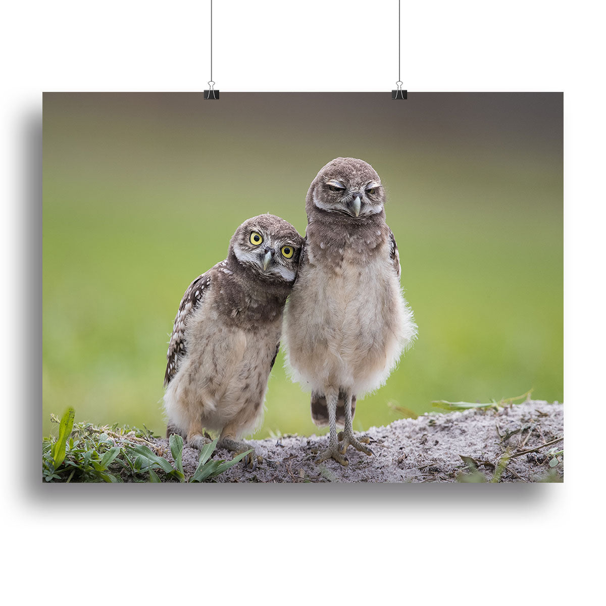 Friends Canvas Print or Poster - 1x - 2