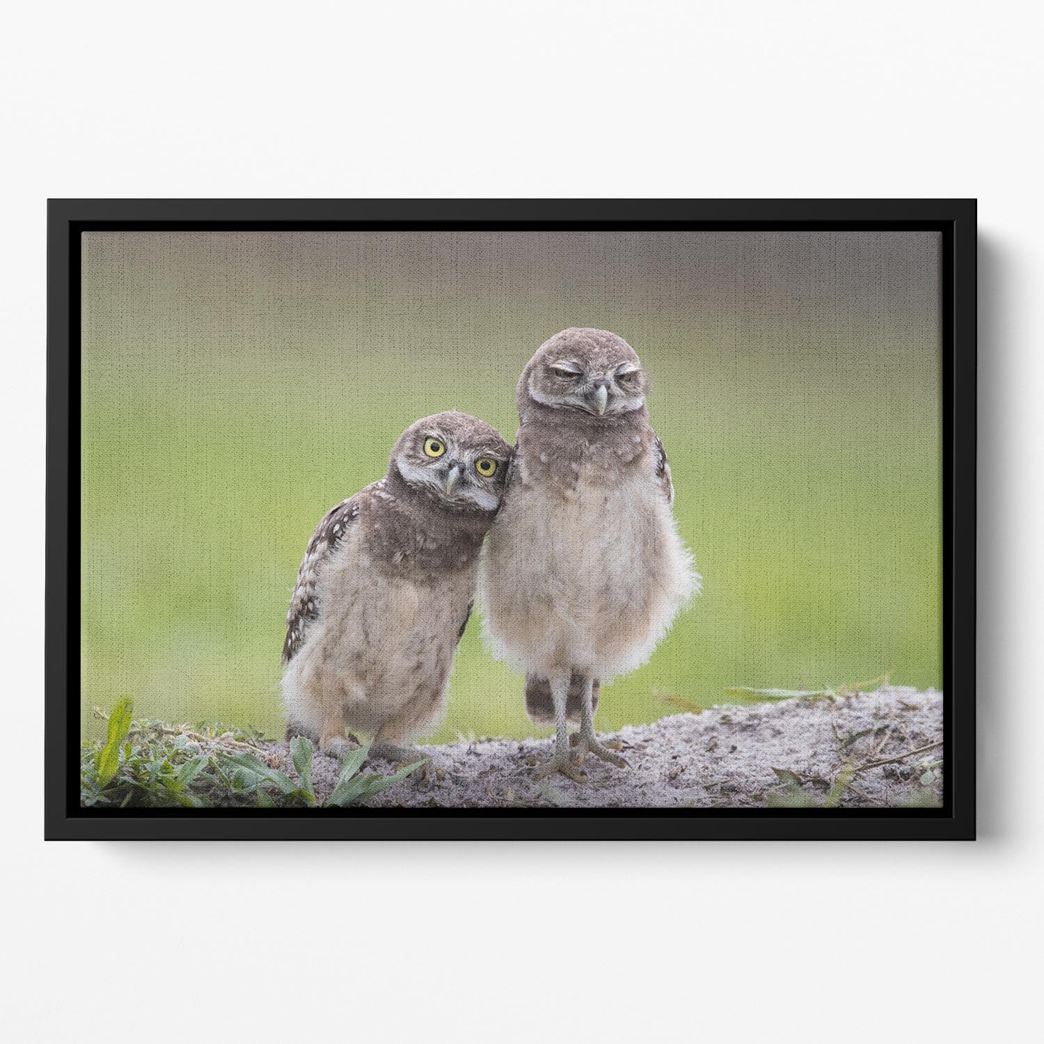 Friends Floating Framed Canvas - 1x - 2