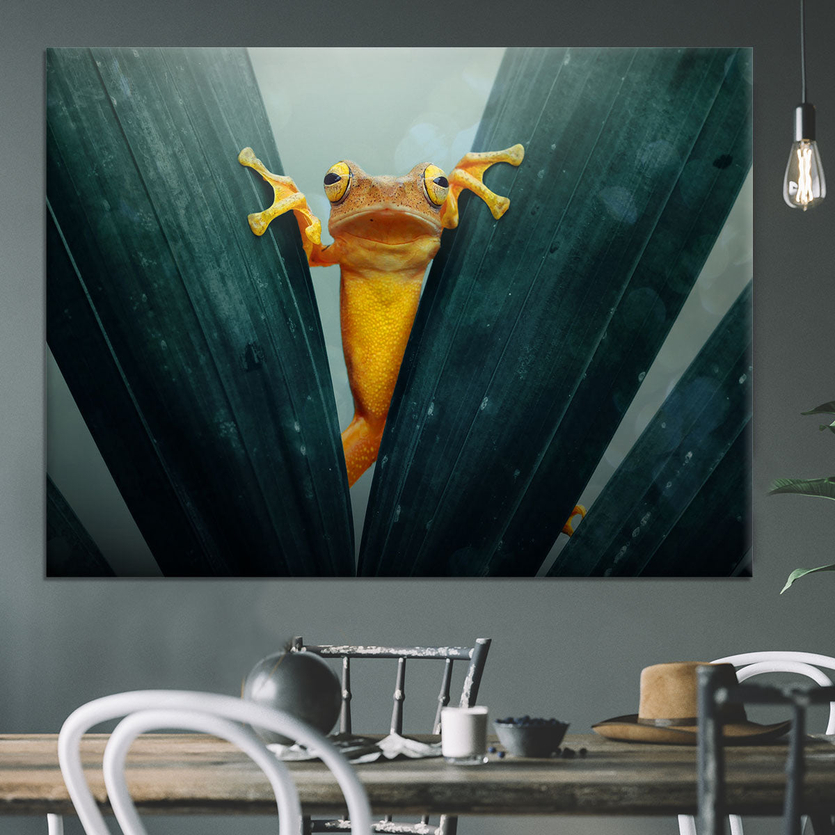 Gold Frog Canvas Print or Poster - 1x - 3